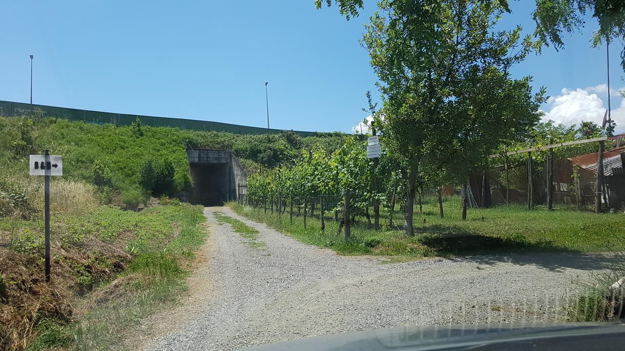 Buio Pesto B&B Ceparana Exterior foto
